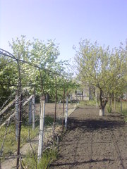 Продам дачу в СТ