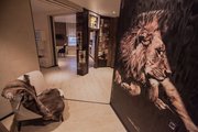 Декоративная роспись штукатурка Лев в Интерьере ОДЕССА