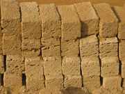 Камень ракушка