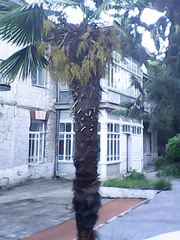 Аренда пансионата на ЮБК в Алупке.