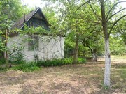 дача в городе