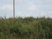 Продам участок 8 соток в пгт. Коминтерновское, ул. Аграрная