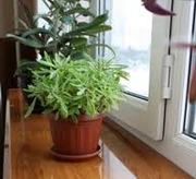 Подоконники ПВХ Danke