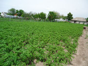 Срочно продам приватизированный участок земли под Киевом, купить землю