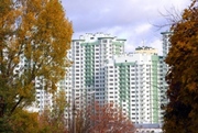 Аренда однокомнатной квартиры в ЖК Изумрудный,  Механизаторов 2,  Киев,  