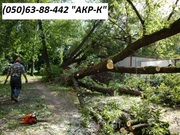 Аварийный спил деревьев 0506388442