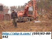 Корчевание пней Киев 0506388442