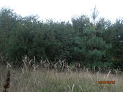 Продам участок