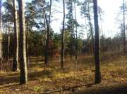 Продам элитный участок!