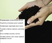 Удаление деревьев Киев,  0506388442 убрать участок,  выкорчевка пней