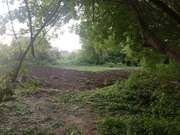 Продам земельный участок в с. Гореничи,  Киевская область