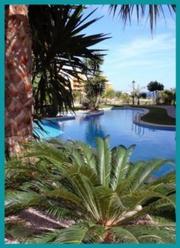 Недвижимость в Испании. 