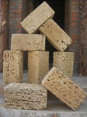 Ракушечник