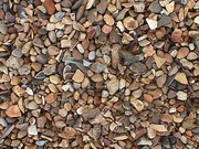 Продажа грунта, чернозема, песка, щебня, гравий