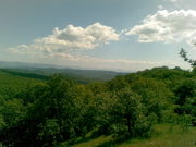 срочно продам свои участки ЛКХ в симферопольском районе не дорого!