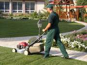 Услуги садовника