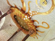 Художественная роспись и лепка.