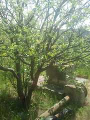 сдам дом за городом