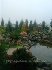 Ландшафтный дизайн, озеленение.