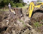 корчевание пней Киев