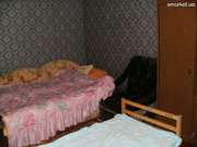 Відпочинок в Берегові