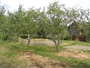 063.Дачу в Калиновке,  Васильковский р-н.
