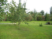 Продам участок в Перещепино с плитами не дорого 