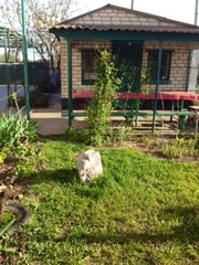 Продам экономный и практичный дом с огромным подвалом 