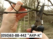 обрезка сада,  обрезка яблонь обрезка сада Киев