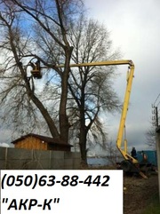 удаление деревьев киев,  спил деревьев ирпень