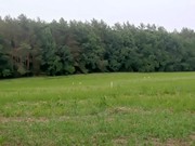 35 гектара шикарная земля участок киев лес фасад хозяин