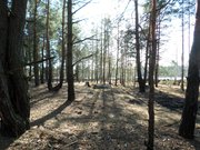 Продам дом и земельные участки в с.Иванковичи