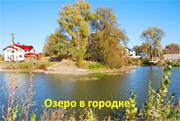 Хотяновка, участок в КГ