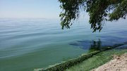 Продаю дачу на лимане в Николаевской оласти