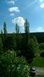 Продам 1комнатную улучшенку,  5/9,  2 балкона,  капремонт, 