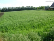 Срочно продам земельный участок