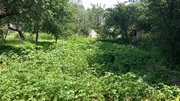 Продам дом с участком в селе Лука-Мелешковская