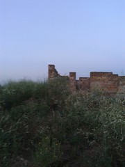 Новая - Дофиновка. Срочно Участок 20 сот. незавершенное строительств