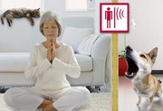 Звукоизоляция Мute обеспечим тебя тишиной!