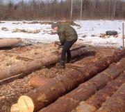 Купить сруб деревянного дома строительство срубов под ключ