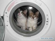 РЕМОНТ--АВТОМАТИЧЕСКИХ СТИРАЛЬНЫХ МАШИН: