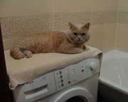 Стиральная машинка автомат поломалась? ВАМ СЮДА!