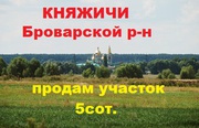1.3. Княжичи - продам участок