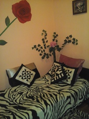 сдам комнаты под ключ в частном секторе у моря Одесса