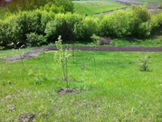 Продам участок с хаткой