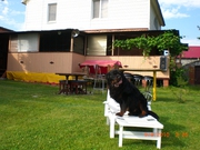 сдам дачу для отдыха в Святогорске!