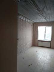 Ремонт квартир,  домов,  офисов и другой недвижимости