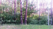 62 сотки в закрытом коттеджном городке возле базы Динамо Киев.