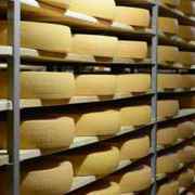 Действующий молочный завод,  прибыльный,  существует с 2000 года.