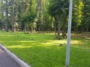 Участки от 10 и больше соток в коттеджном поселке.